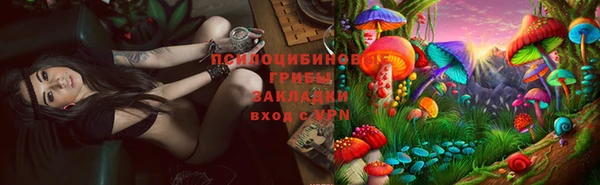 стаф Алексеевка