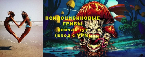 крисы Абаза