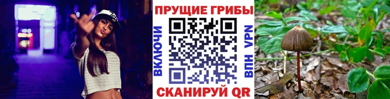 Псилоцибиновые грибы MAGIC MUSHROOMS  наркошоп  Тотьма 